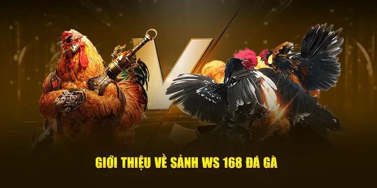 Cách Chơi Đá Gà WS168 Tại HitClub Với Hướng Dẫn Kèo Cược Chi Tiết