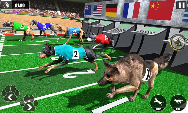Cách Chơi Game Nhanh Đua Chó Tại HitClub Hiệu Quả Với Mẹo Cược Hay