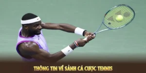 Tìm Hiểu Cá Cược Quần Vợt Hitclub Từ Cách Chơi Đến Quản Lý Vốn